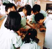 人気の印花に集中